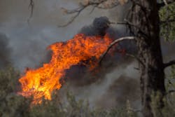 A representational image of a wildfire A representational image of a wildfire