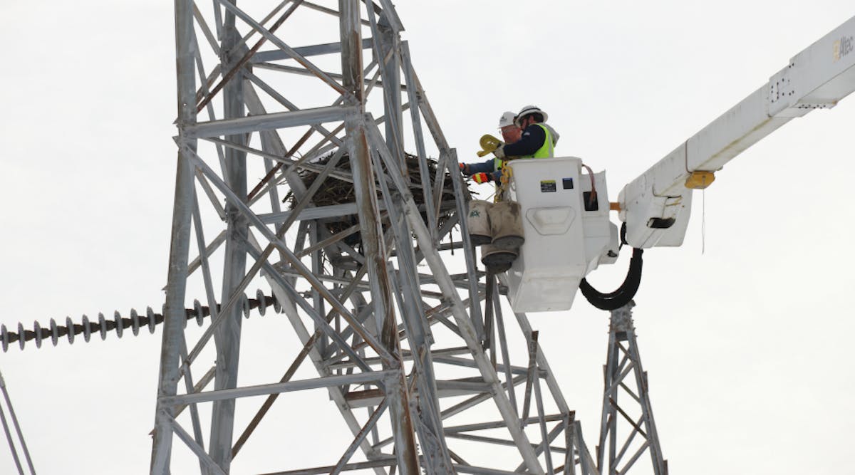 Met-Ed workers remove osprey nest from substation.