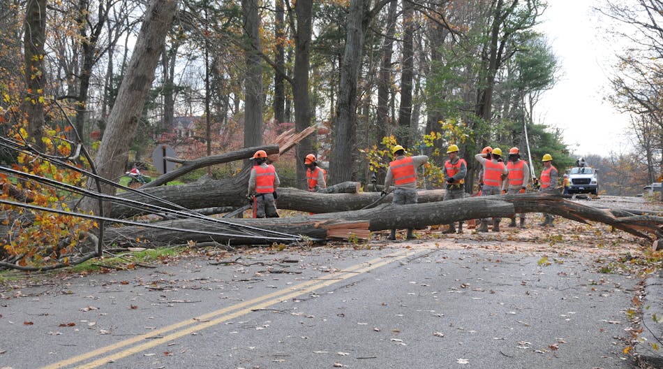 Members of the 103rd Civil Engineer Squadron chainsaw team cut up a fallen tree to help clear the road and facilitate power restoration in a Southern Connecticut town Nov. 1, 2012.