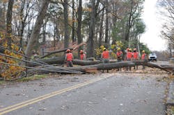 The 103rd Civil Engineer Squadron chainsaw team cut up a fallen tree to clear the road and facilitate power restoration in a Southern Connecticut town in 2012 The 103rd Civil Engineer Squadron chainsaw team cut up a fallen tree to clear the road and facilitate power restoration in a Southern Connecticut town in 2012
