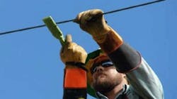 wire brush wire brush