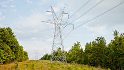Effective vegetation management means fewer trips to control resprouts and reliable energy transmission.