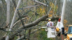 Connecticut Light &amp; Power crews remove a tree resting on distribution lines following a storm in Greenwich, Connecticut.
