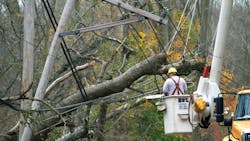 Connecticut Light amp Power crews remove a tree resting on distribution lines following a storm in Greenwich Connecticut Connecticut Light amp Power crews remove a tree resting on distribution lines following a storm in Greenwich Connecticut