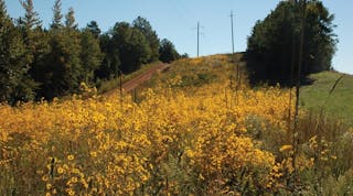 Utilities can help harden a right-of-way by creating low-growing and environmentally sustainable vegetation, thus eliminating encroachments into the wire zone.