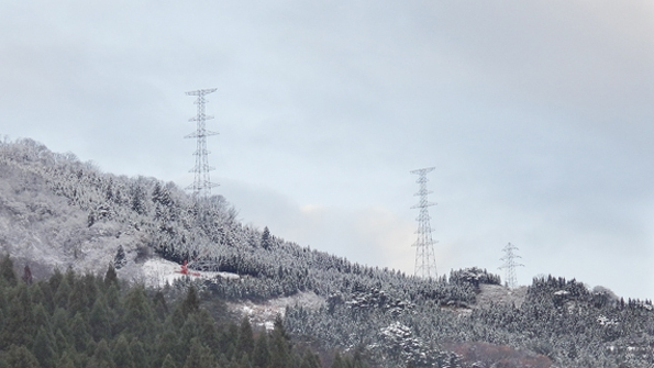 Kansai Electric Power Co