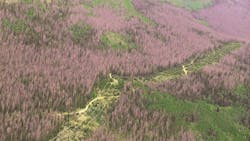 Xcel Energy LiDAR infrared imagry Xcel Energy LiDAR infrared imagry