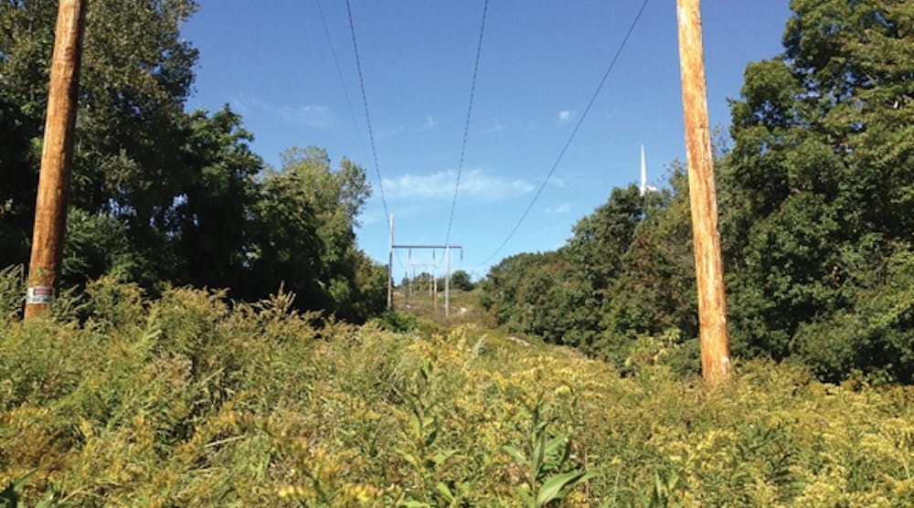 National Grid ROW within the Broad Meadow Brook Sanctuary. The stable, herbaceous plant community is the desirable ROW floor type for both National Grid and the Massachusetts Audubon Society.