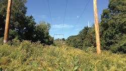 National Grid IVM Partnerships National Grid IVM Partnerships