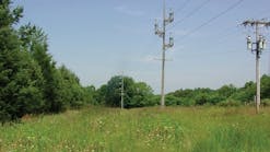 For many electric cooperatives and utilities, the time and resources dedicated to vegetation management can be limited, making good partnerships crucial to ensuring rights-of-way are properly maintained.