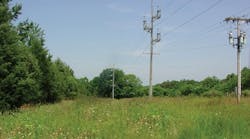 For many electric cooperatives and utilities, the time and resources dedicated to vegetation management can be limited, making good partnerships crucial to ensuring rights-of-way are properly maintained.