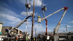 Jersey Sandy Jersey Sandy