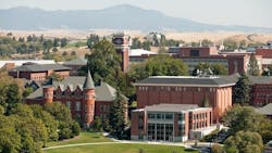 WSU WSU