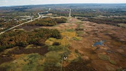 PSEG New Jersey Wetland PSEG New Jersey Wetland