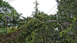 Tdworld 2348 Treeoverpowerlines