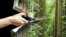 San Diego Gas Electric vegetation management San Diego Gas Electric vegetation management