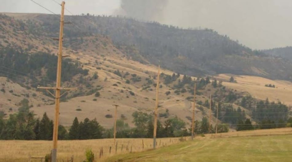 A line of poles treated with fire retardant coating; in the background, smoke appears from an approaching wildfire.