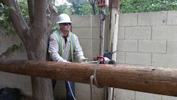 Kory Nichols Kory Nichols