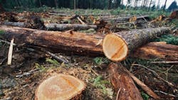 deforestation deforestation