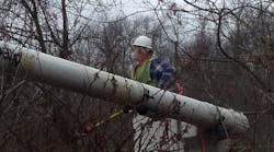 Tree trimmers from Asplundh Tree Experts tackle a FirstEnergy power line right-of-way, cutting branches to help maintain proper clearances around electrical equipment and help protect against tree-related outages.