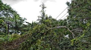 Tdworld 2912 Treeoverpowerlines