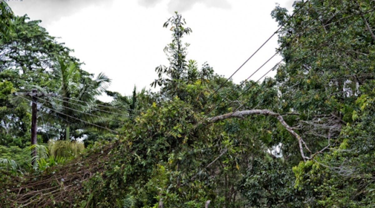 Tdworld 2912 Treeoverpowerlines