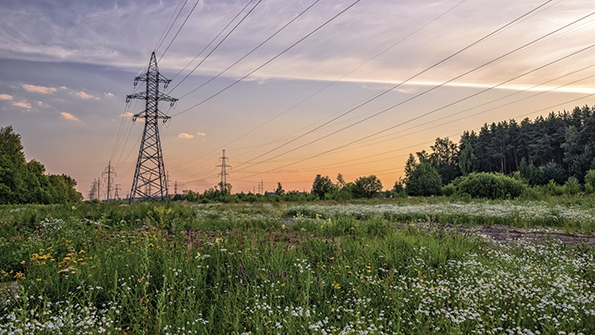 UAA vegetation management