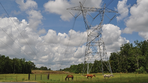 UAA vegetation management
