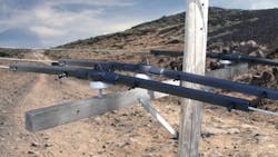 raptor protector raptor protector