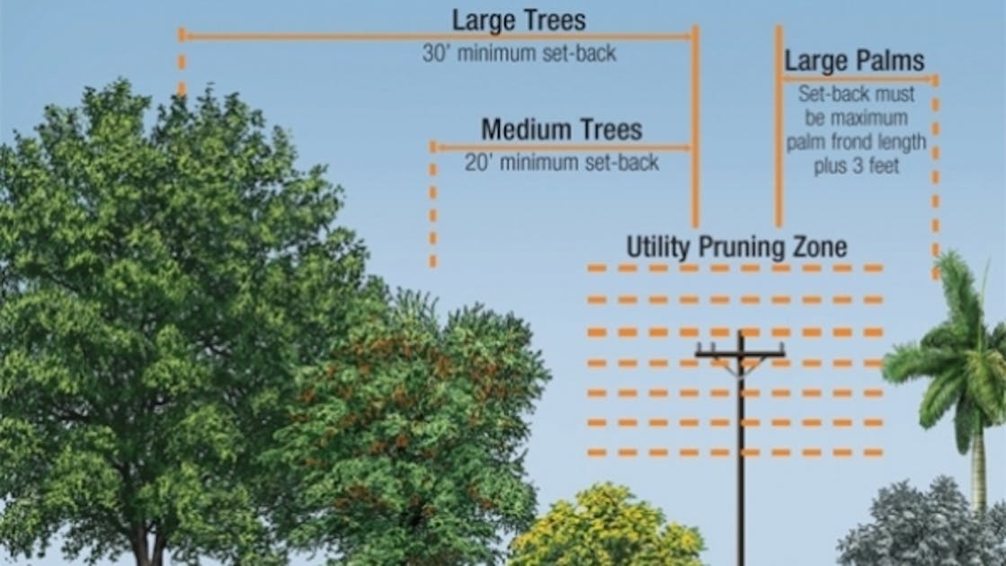 FPL  Trees and Power Line Safety