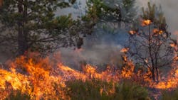 wildfire risk wildfire risk