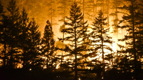 wildfire from powerlines