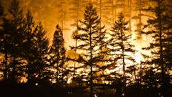 wildfire from powerlines wildfire from powerlines