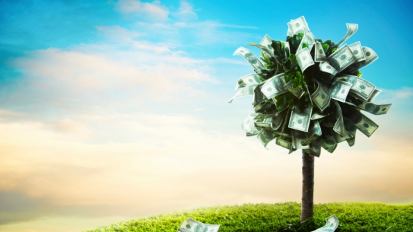 funding vegetation management