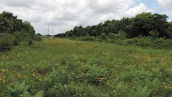 Properly managed vegetation in the right-of-way benefits wildlife, property owners and Empire District Electric.