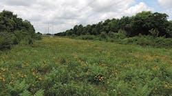 Properly managed vegetation in the right-of-way benefits wildlife, property owners and Empire District Electric.