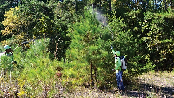 Duke Energy Clearion Software LLC herbicide management