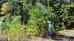 Crews apply herbicide within rights-of-way to control tall brush and restore the lowgrowing native plant communities that provide food and shelter for a wide variety of birds, insects and other wildlife.