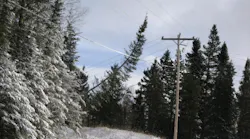 tree hanging over power line in snow