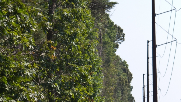 Answering Questions on Herbicide Use and the Environment