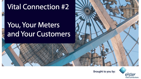 The Smart Utility&rsquo;s Guide to Choosing a Smart Meter