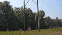 controlling-vegetation-safe-reliable-power-promo.jpg controlling-vegetation-safe-reliable-power-promo.jpg