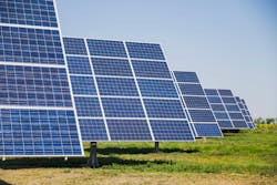 solar panels in field solar panels in field