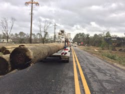 EMC restoring poles EMC restoring poles
