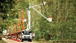 Vegetation clearing contractors for Florida Power &amp; Light help clear fallen debris and trees along neighborhood power lines in Oak Hill, Florida.
