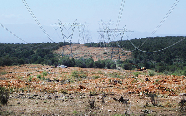 ACRT controlled herbicides