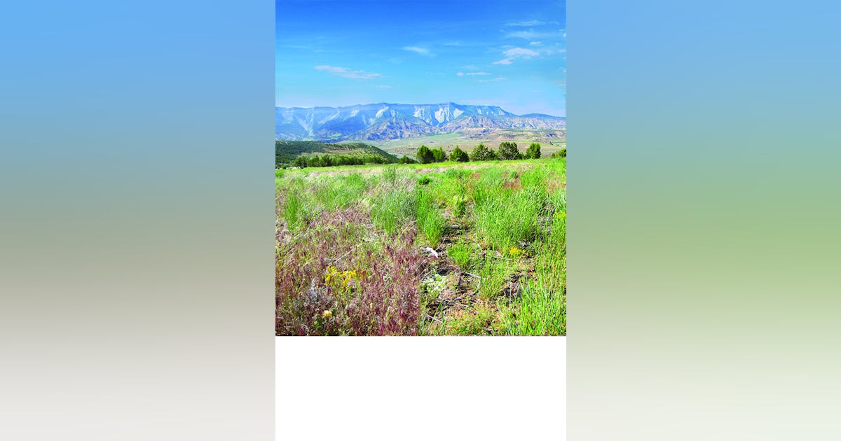 Advanced Control for the Restoration of Open Spaces | T&D World