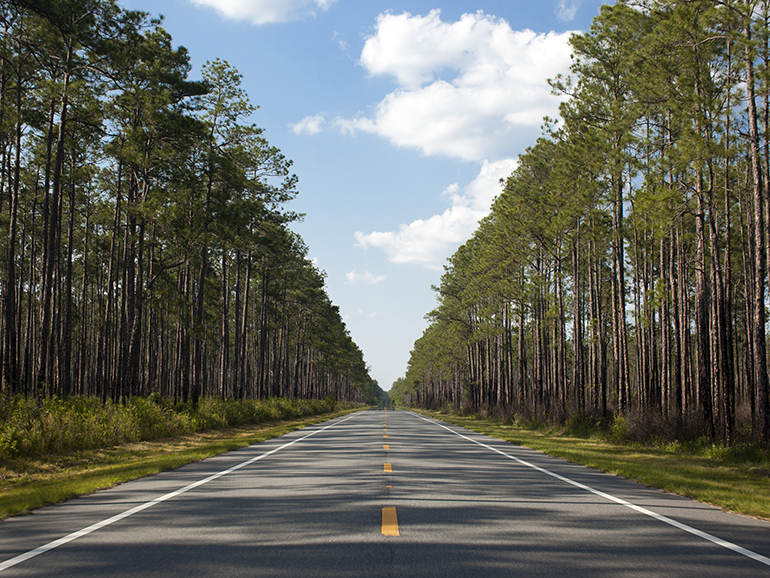 Selective Weeding Solutions