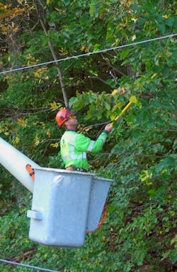 CMP tree trimming CMP tree trimming