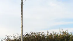 recloser installation